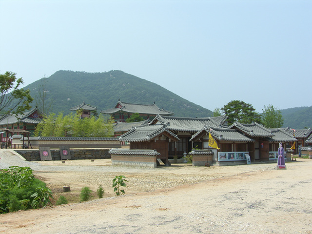 의정활동