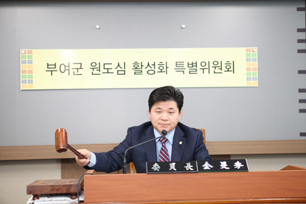 부여군 원도심활성화 특별위원회 